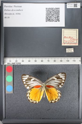 Media type: image;   Entomology 130200